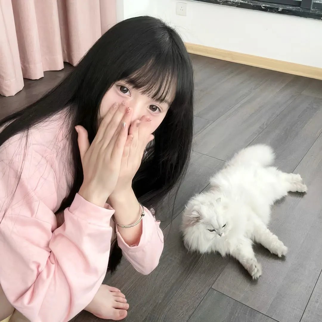 窃劫复仇